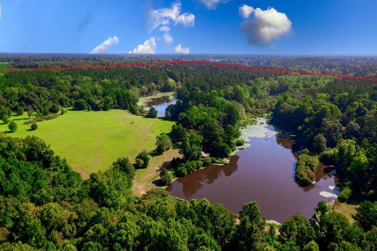 Jefferson County 291 Acres Hunting Land for Sale