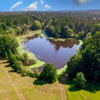 Jefferson County 291 Acres images 5
