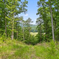 23.4 - Acre Recreational Retreat near Lookout Mountain images 3