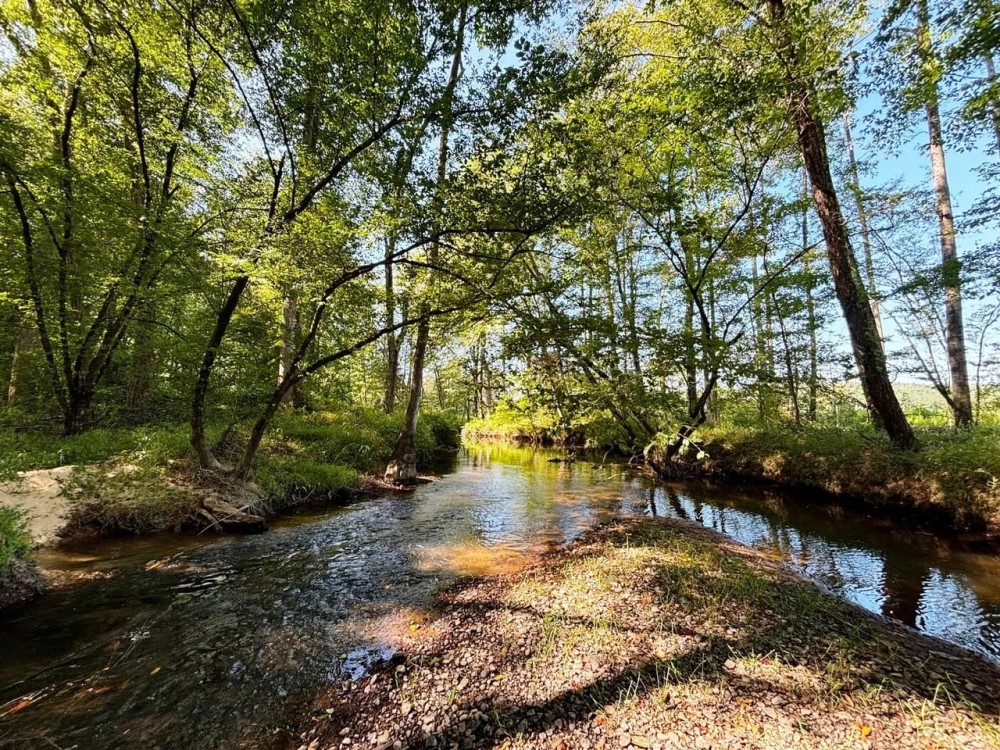 Sipsey Creek Farm featured image