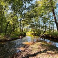 Sipsey Creek Farm