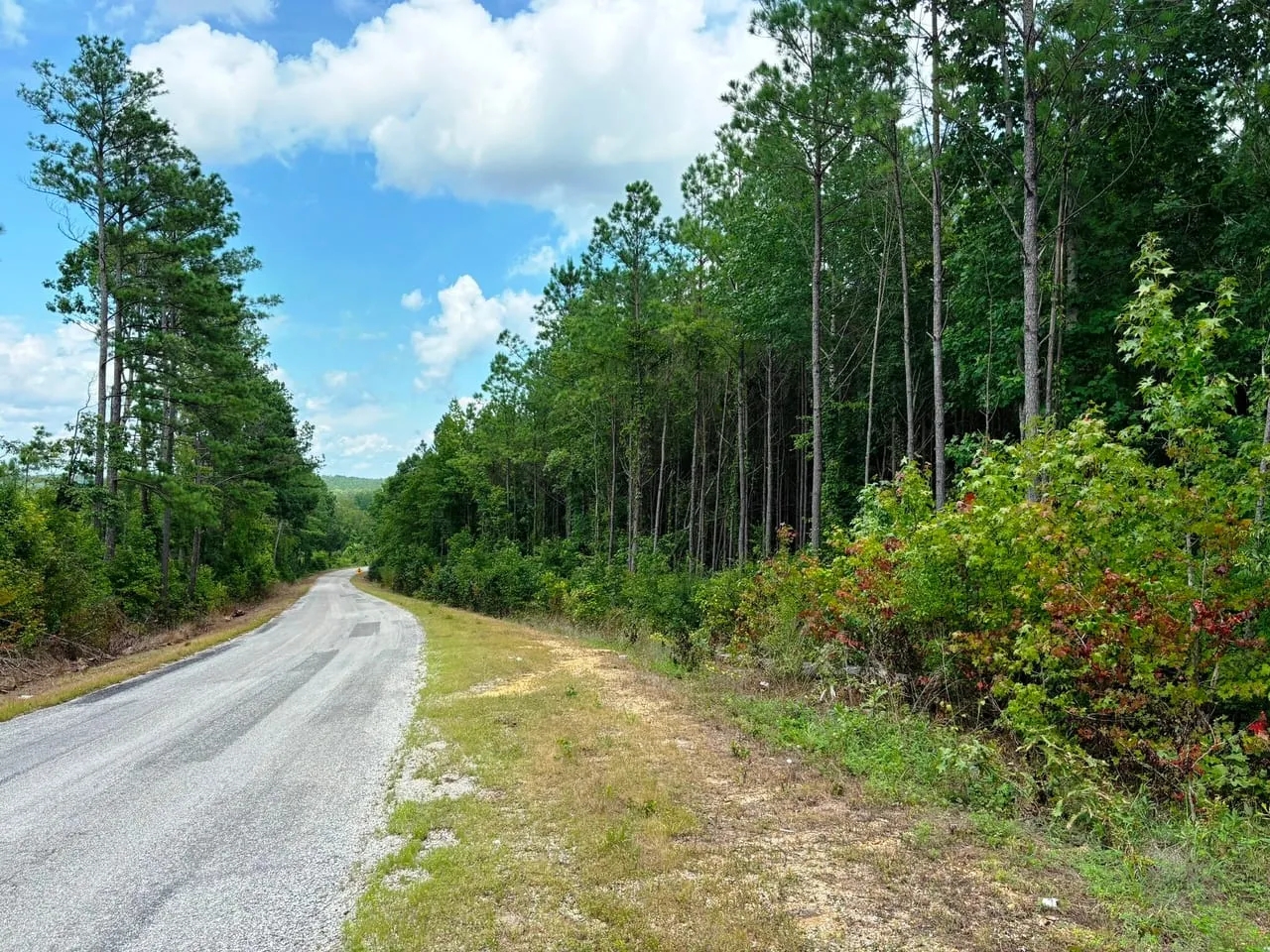 Sipsey Creek Farm Hunting Land for Sale