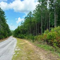 Sipsey Creek Farm images 4
