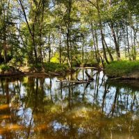 Sipsey Creek Farm images 5