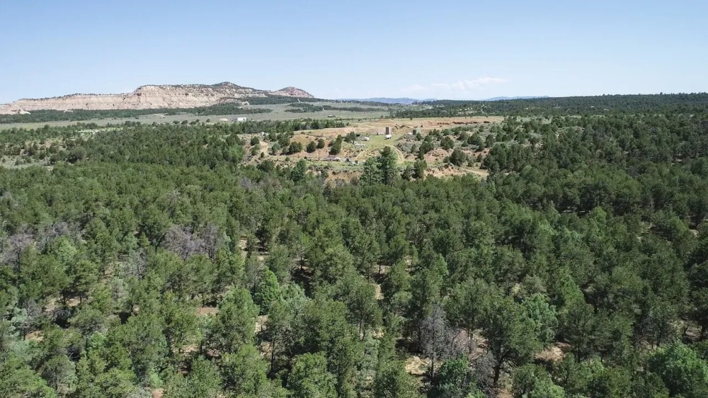 Regina Ranch East 50 Ac featured image