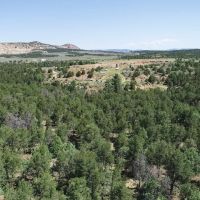 Regina Ranch East 50 Ac