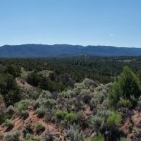 Regina Ranch East 50 Ac images 3