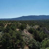 Regina Ranch East 50 Ac images 4