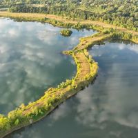 Jenkins Creek images 2