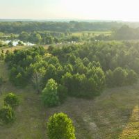 Jenkins Creek images 4