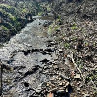 Mudlick Hollow Rd. Beaver County - 68 acres