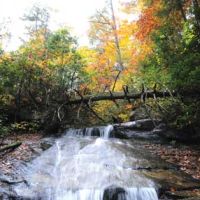 1,708 Acres Watson-Cooper Heritage WMA in Greenville , SC