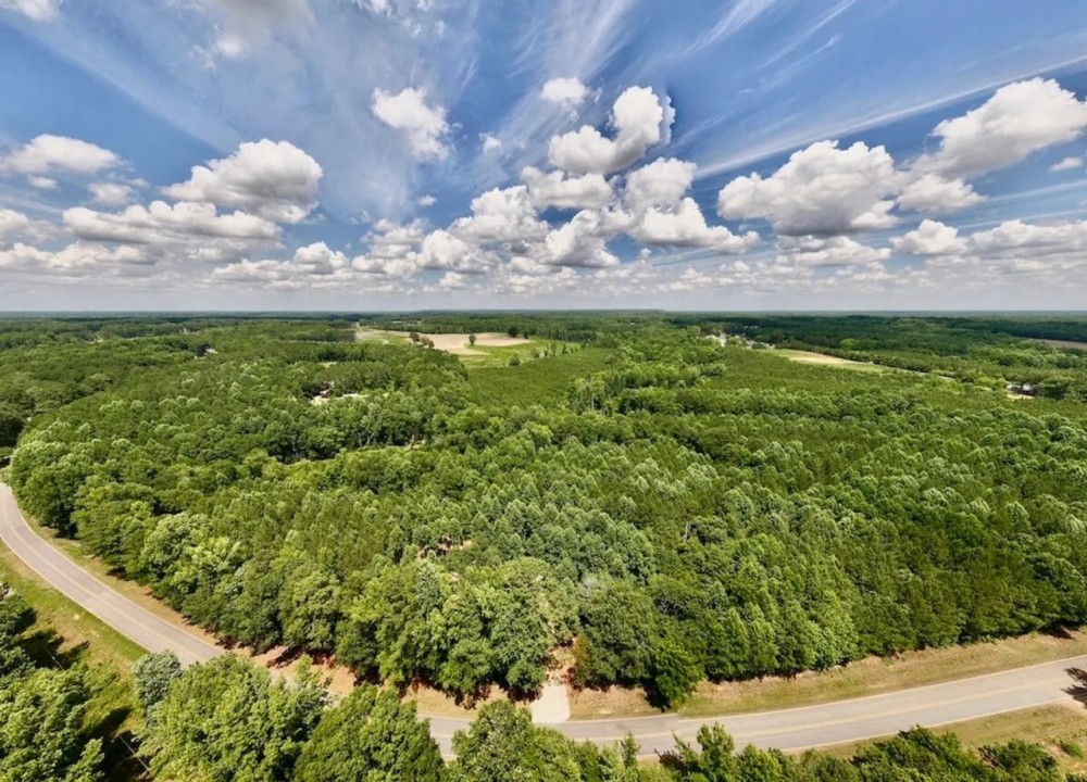 UPDATED 20 acres Multi Use Land for Sale in Nash County NC featured image
