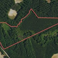 UPDATED 20 acres Multi Use Land for Sale in Nash County NC images 2