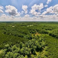 UPDATED 20 acres Multi Use Land for Sale in Nash County NC images 5