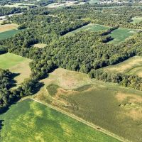 Land For Sale - Great Hunting and Recreational 44.3 - acres In Wabash County Indiana images 3