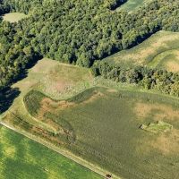 Land For Sale - Great Hunting and Recreational 44.3 - acres In Wabash County Indiana images 4