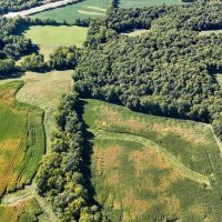 Land For Sale - Great Hunting and Recreational 44.3 - acres In Wabash County Indiana images 5