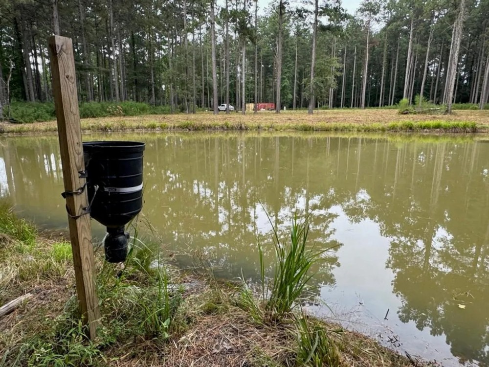 28.52 Acres Home Hunting Recreational Land in SW MS featured image