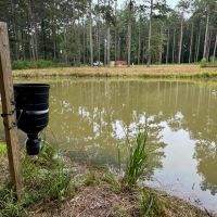 28.52 Acres Home Hunting Recreational Land in SW MS