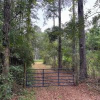 28.52 Acres Home Hunting Recreational Land in SW MS images 3