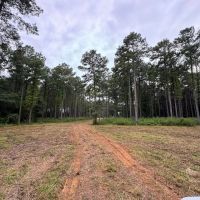28.52 Acres Home Hunting Recreational Land in SW MS images 4