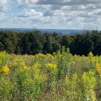 11 acre Southern Tier Land with Views Richford NY