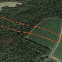 11 acre Southern Tier Land with Views Richford NY images 4