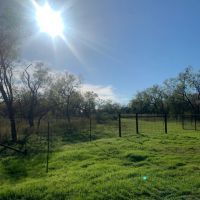 Stunning Acreage images 1