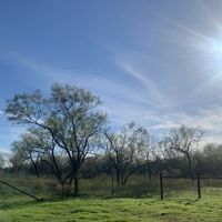 Stunning Acreage images 2
