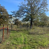 Stunning Acreage images 3