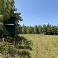 230 Acres Hunting and Timberland for Sale South Mississippi