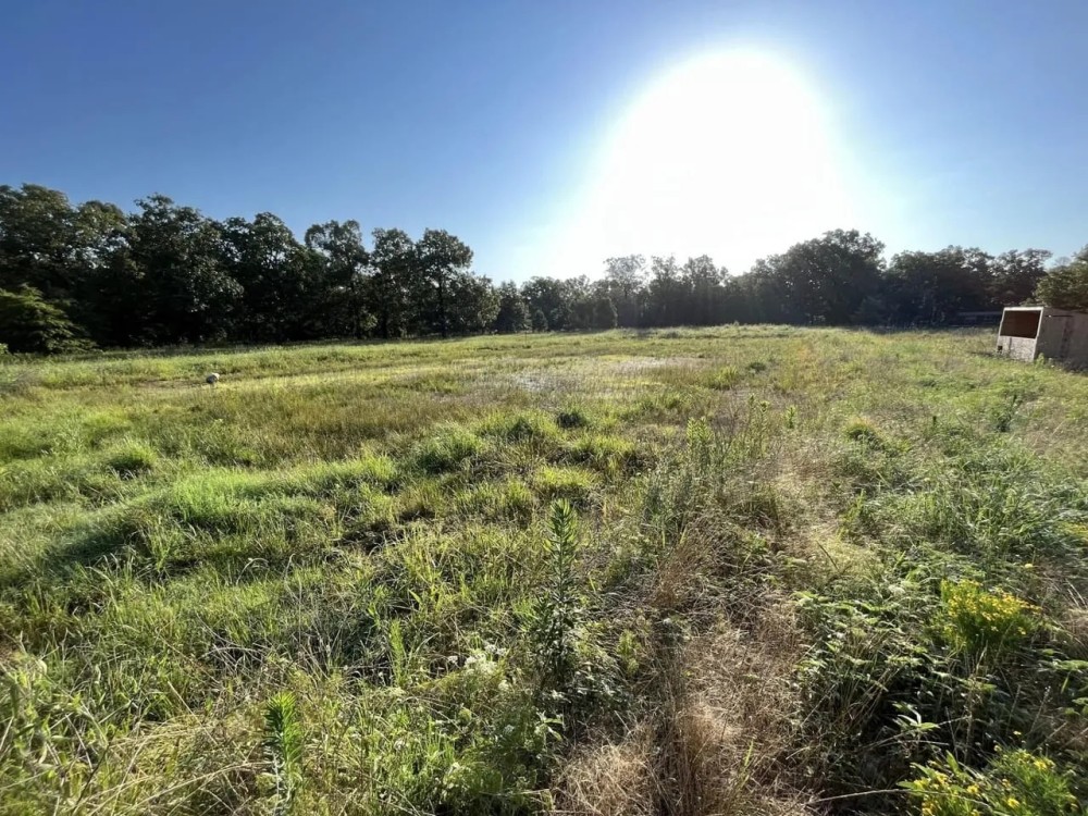 000 PR 45615 Blossom TX 75416 featured image