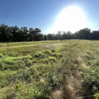000 PR 45615 Blossom TX 75416