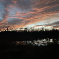 000 PR 45615 Blossom TX 75416 images 3