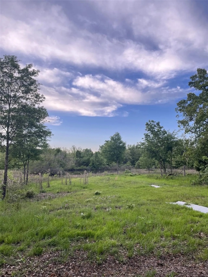 000 PR 45615 Blossom TX 75416 Hunting Land for Sale HuntingLocator