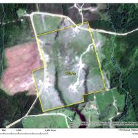 172 Acres Off FM 1012