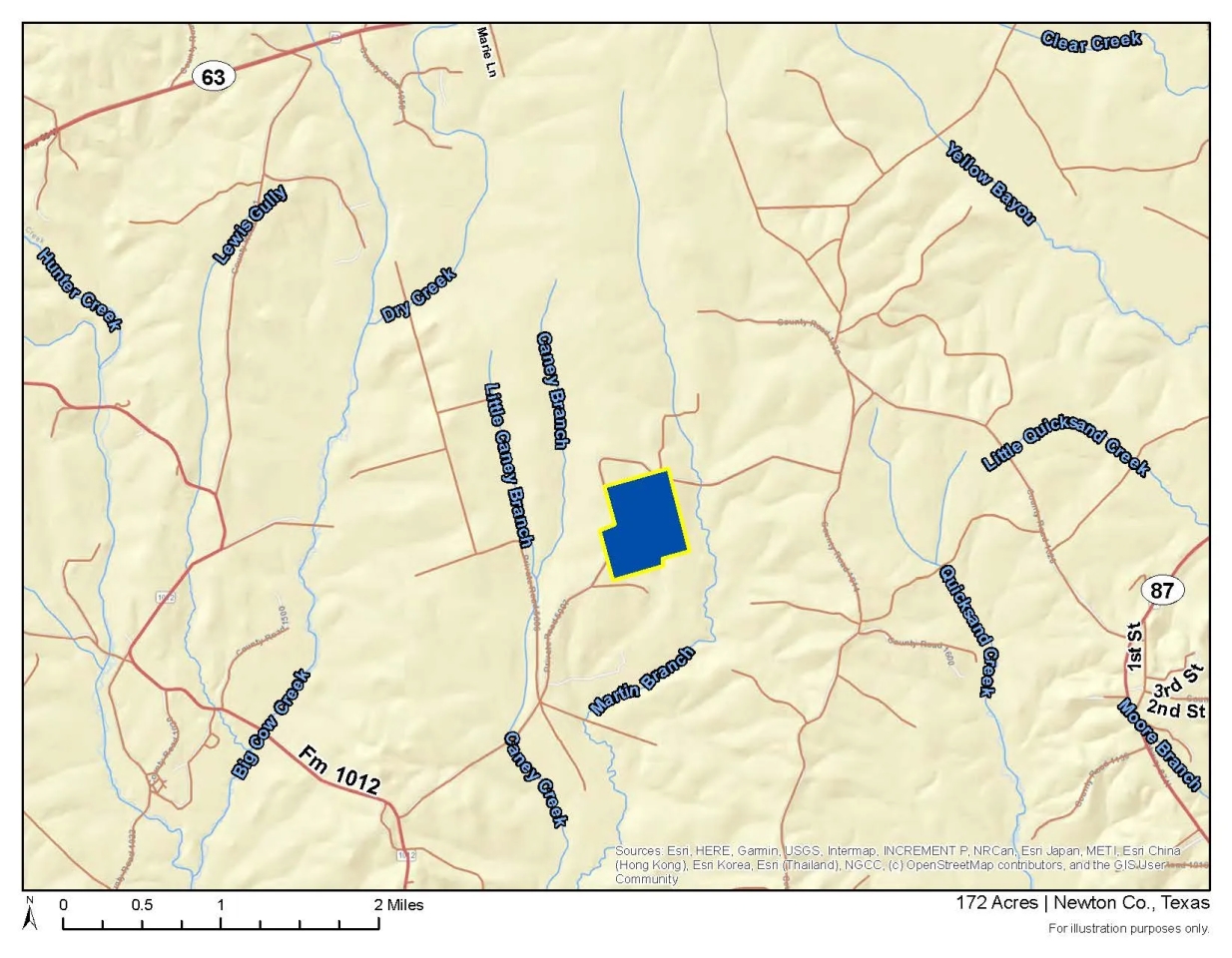 172 Acres Off FM 1012 Hunting Land for Sale