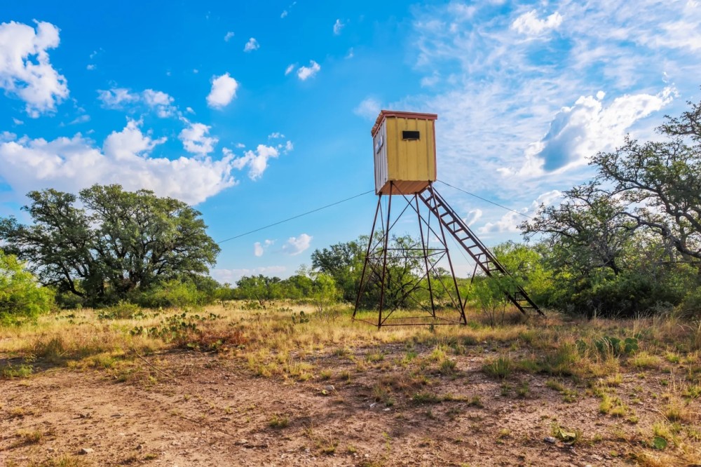 Big Oak Ranch featured image