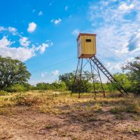 Big Oak Ranch images 1