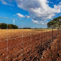 Big Oak Ranch images 2