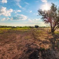 Big Oak Ranch images 3