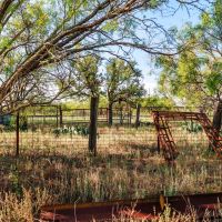 Big Oak Ranch images 4