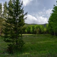 Tolland Ranch images 1