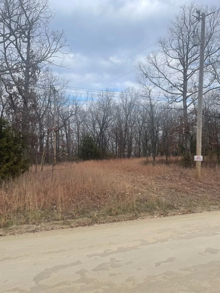 46 Acres of Hunting Land in Camdenton MO featured image