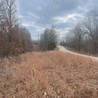 46 Acres of Hunting Land in Camdenton MO images 5