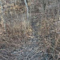 29 Acres - Somerset County images 5