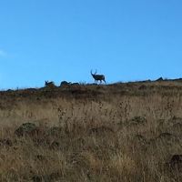 Imnaha River Ranch images 5