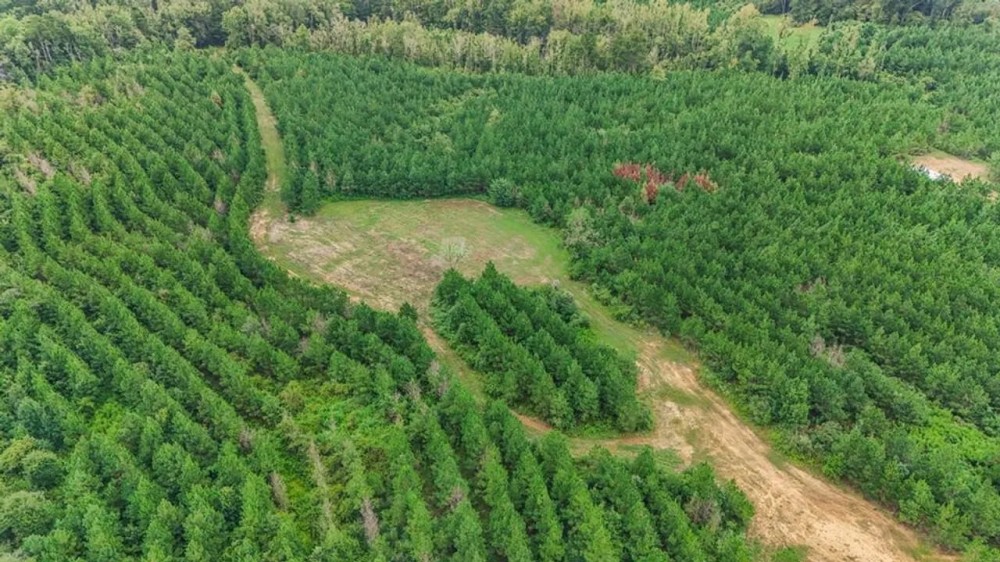 Small Turn-Key Hunting Property in Amite County MS featured image