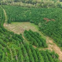 Small Turn-Key Hunting Property in Amite County MS